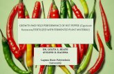 GROWTH AND YIELD PERFORMANCE OF HOT PEPPER ......Pinatubo variety (59.21cm) is much taller than the height of Red Hot variety (58.92cm) at 90 days after transplanting. 1 2 3 4 5 6