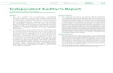 Independent Auditor’s Report - Dabur · 2020. 9. 2. · Corporate Overview Board & Management Reports Financial PB Dabur India Limited Annual Report 2019-20 Statements 265 Independent