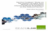 Service Contract “Study on the Impact of (other than REACH ......Service Contract “Study on the Impact of (other than REACH/CLP) European Chemical/Waste Regulations on the Defence