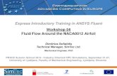 Express Introductory Training in ANSYS Fluent · • Copy a Fluent "Analysis System" into the project schematic. • Import the supplied Fluent mesh file ("naca0012.msh") by: –