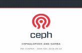 CEPHALOPODS AND SAMBA - SNIA · 2019. 12. 21. · 4 ARCHITECTURAL COMPONENTS RGW A web services gateway for object storage, compatible with S3 and Swift LIBRADOS A library allowing