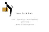 Low Back Pain - Oluwadiya Pain diya.pdfLumbar spondylosis •This is osteoarthritis of the lumbar spine • Osteoarthritis is also known as degenerative joint disease or “wear and