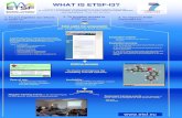 WHAT IS ETSF -I3?iramis.cea.fr/meetings/2008TheorieIRAMIS/presentations/... · 2008. 4. 4. · ETSF users and designed for their particular needs. - Schools - Workshops + WHAT IS