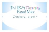 BHRS Diversity Road Map · 2018. 7. 17. · curanderos, sobadores, acupuncture, cupping), used by consumers they serve and integrate these treatment approaches into treatment when