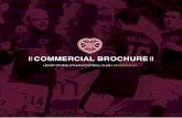 COMMERCIAL BROCHURE · 2021. 1. 13. · Lockdown and restrictions may have impacted supporters coming to games, but the Club has designed some innovative advertising and sponsorship