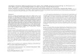 Histidyl-Proline Diketopiperazine (His-Pro DKP ...dm5migu4zj3pb.cloudfront.net/manuscripts/112000/112897/JCI87112897.pdfHistidyl-Proline Diketopiperazine (His-Pro DKP)Immunoreactivity