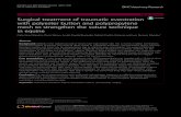 Surgical treatment of traumatic eventration with polyester ...repair of traumatic eventration in horses. This technique provides effective reinforcement against the abdominal tension