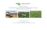 NEADAP White Paper Uganda Pathways to Intensify ......White Paper: Pathways to Intensify Sustainable Forage Production in Kenya - NEADAP, October 2019 3 Table 1. Example of forage