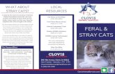 Feral & Stray Cats - Clovis Animal Services · 2020. 7. 20. · FERAL & STRAY CATS ClovisAnimalServices.com A study by the Journal of American Veterinary Medical Association shows