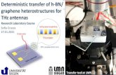 Deterministic transfer of h-BN/ graphene heterostructures ... · Deterministic transfer of h-BN/ graphene heterostructures for THz antennas Sofía Cruces 27.01.2021 fs laser pulse