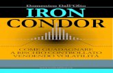 Domenico Dall’Olio IRON CONDOR · 2019. 3. 1. · L’iron condor è la strategia su cui si focalizza tutto il lavoro riportato in questo libro. I lettori si chiederanno perchè