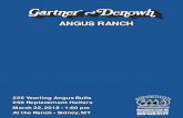 ANGUS RANCHANGUS RANCH · 2018. 3. 2. · ANGUS RANCHANGUS RANCH 250 Replacement Heifers 225 Yearling Angus Bulls March 22, 2018 • 1:00 pm At the Ranch • Sidney, MT SU B SU 80