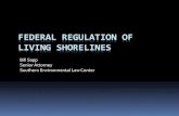 FEDERAL REGULATION OF LIVING SHORELINES...ALG10-2011 - LIVING SHORELINES GENERAL PERMIT (Authority: Sections 10 and 404) : This general permit provides for the preservation and restoration