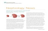 Nephrology News - Cleveland Clinic€¦ · Nephrology News Advances in Autosomal Dominant Polycystic Kidney Disease William E. Braun, M.D. continued on page 4. 2 Nephrology News The