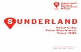 UNDERLAND · 2019. 8. 8. · Sunderland is on the cusp of an exciting transformation, with over £1.5 billion already invested and further ... short video which captures the contents