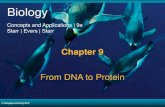 Chapter 5 Gases - websites.rcc.eduwebsites.rcc.edu/mcdonald/files/2017/02/Bio1-Ch9-stu.pdf · 2017. 3. 11. · © Cengage Learning 2015 Biology Concepts and Applications | 9e Starr