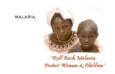 MALARIA - Unifr€¦ · Malaria quartana:-Plasmodium malariae - Fever attacks with a periodicity of 72 h - good prognosis except when kidney complications arise - risk of relapse