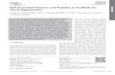 Selfâ€گAssembled Proteins and Peptides as Scaffolds for [ 4,5 ] Fibrous proteins such as silks and elastin
