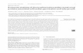 RESEARCH ARTICLE Proteomicanalysesof Oryzasativa ...plantbiol.genetics.ac.cn/the_xue_lab/publication/...2 Key Laboratory of Molecular & Developmental Biology, Institute of Genetics