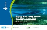 Snorkel surveys of the marine environment Snorkel... · Mathieu IMBERT and Jean Patrick DURAND except when otherwise mentioned. Acknowledgements I would like to thank all the scientists