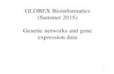 GLOBEX Bioinformatics (Summer 2015) Genetic networks and …lliao/globex15/lec11.pdf · 2015. 7. 23. · 2 Gene Networks • Definition: A gene network is a set of molecular components,