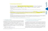 Pathologie lacrymale du nourrisson et de lâ€™enfantpedworld.ch/ENTREE/OPHTALMOLOGIE/2010-Pathologie... · 2019. 5. 22. · Pathologie lacrymale du nourrisson et de l’enfant