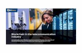 Blockchain in the telecommunication industry · 2019. 3. 29. · We propose a new HLR / HSS architecture, in which we retain all the functionality of HLR-FE, HSS-FE, AuC-FE providing