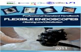 PROFESSIONAL STANDARDsterylizacja.org.pl/pliki/publikacje/SFERD_handbook_2011 engels.pdf · Professional Standard Handbook. Furthermore, this collaboration has yielded a profitable