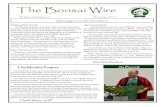 The Bonsai Wire · 2019. 12. 6. · The Bonsai Wire is a monthly publication of the San Diego Bonsai Club. All articles are provided by SDBC members and edited by The Bonsai Wire
