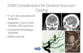 IONM Considerations for Cerebral Aneurysm Clipping · 2021. 3. 5. · clipping. The middle cerebral artery (MCA) is a branch of the internal carotid artery. The first MCA segment