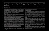 Clinical Research Melanin change of retinal pigment epithelium …ies.ijo.cn/en_publish/2020/12/20201213.pdf · 2020. 11. 21. · 1928 ·Clinical Research· Melanin change of retinal