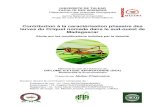 Contribution à la caractérisation phasaire des larves du ... · Rapporteur : Dr. Anne Marie RANDRIATOMPOINARIVO Maître de stage : Dr. Michel LECOQ, entomologiste, CIRAD. UNIVERSITE