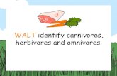 WALT identify carnivores, herbivores and omnivores. · 2021. 1. 29. · Herbivore by remembering that herbsare types of plants. Omnivores ... It is a carnivore. Plenary A worm eats