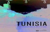 tunisiA - Reboot - Tunisia From Revolutions to Institutions.pdf2011, Tunisia ranked 35th globally in networked readiness, above its neighbors in North Africa. However, the detailed
