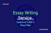 Essay Writing Service | Get Your Paper by Experts at 9.99$ - Essay Mojo