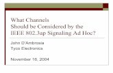 What Channels Should be Considered by the IEEE 802.3ap ...grouper.ieee.org/groups/802/3/ap/public/nov04/dambrosia...Testing 5G part overdriven, with xtalk hoppin_01_0304..pdf 25, 26,