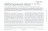 PERSPECTIVE Crippling life support for SARS-CoV-2 and other … · 2020. 8. 13. · PERSPECTIVE Crippling life support for SARS-CoV-2 and other viruses through synthetic lethality