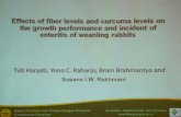 3rd Conferences of Asian Rabbit Production Association - Bali ...world-rabbit-science.com/Other-Proceedings/Bali-2nd Conf...Haryati T., Raharjo Y.C., Rakhmani S.I.W. Effects of fiber