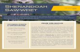 Shenandoah Saw-whet · 2020. 9. 25. · of Shenandoah Chapter member’s efforts is presented below. Shenandoah Saw-whet Page 4 Wavyleaf Basketgrass (Oplismenus undulatifolius) According