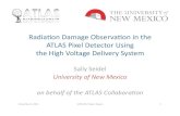 Radiaon Damage Observaon in the ATLAS Pixel Detector Using …seidel/hstd08.pdf · 2012. 6. 16. · 2012 run. No inversion yet. o ... – Modularity must be reconﬁgurable to 1 ISEG