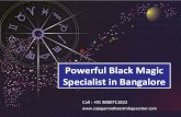 Black Magic Removal In Bangalore - Best Astrologer in Bangalore