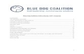 Blue Dog Coalition Policy Recap: 116th Congress · 2020. 8. 14. · Blue Dog Coalition Policy Recap: 116th Congress ... • The Blue Dogs have also urged congressional leadership