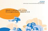 NHS Lambeth CCG Prospectus: 2013/14€¦ · Prospectus 2013/14 Page 7 of 83 2013/14 is the first year for Lambeth Clinical Commissioning Group (CCG). It will be a year of significant