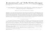 ornal of Melittology - COnnecting REpositories · 2020. 11. 23. · terga V and VI with longer, more erect, branched, dark fuscous setae, except apically on tergum V some whitish,