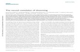 The neural correlates of dreaming - fmed.edu.uy · 2019. 3. 26. · to a straightforward view of the neural correlates of dreaming4: the wake-like, high-frequency, activated electroencephalogram
