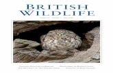 BRITISH WILDLIFE...BRITISH WILDLIFE Volume 27 Number 5 June 2016 Invasive Bivalves in Britain · Rewilding at Knepp Castle The Mystery of the Orkney Vole · A Guide to Bird Guides