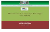 Botswana Biomass Energy Strategy - LSE Home · 2018. 2. 16. · 11.8 Monitoring and Evaluation ... BEDIA Botswana Export Development and Investment Authority BEMP Botswana Energy