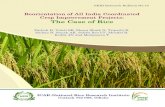 nrri ataglance master · 2020. 6. 8. · B, Reddy JN and Mohapatra T (2019). Reorientation of All India Coordinated Crop Improvement Projects: The Case of Rice. NRRI Technical Bulletin