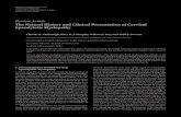 TheNaturalHistoryandClinicalPresentationofCervical ...downloads.hindawi.com/journals/aorth/2012/480643.pdffrom asymptomatic cervical spondylosis to myelopathy. Abbreviations CSM: Cervical