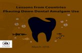 Lessons from Countries Phasing Down Dental Amalgam Use · 2016. 3. 11. · 8 Lessons from Countries Phasing Down Dental Amalgam Use Dental amalgam and alternatives Dental amalgam